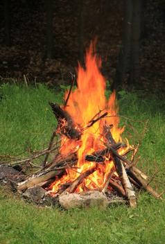 A campfire burning in a grassy clearing.