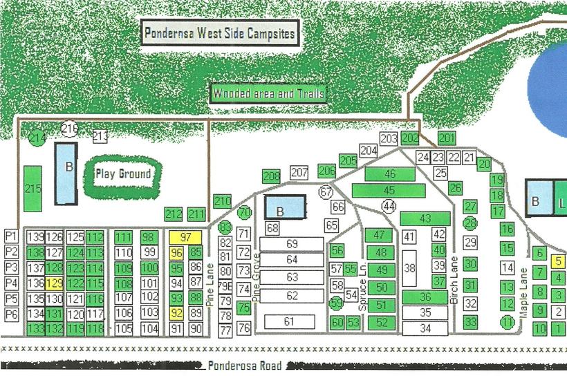Hand-drawn map of the Ponderosa West Side campsites: wooded area and trails, playground and numbered lots along Pine Grove, Pine Lane, Spruce Lane, Birch Lane and Maple Lane.