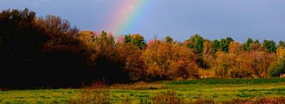 A rainbow arching over an autumn field and treeline at the Ponderosa.